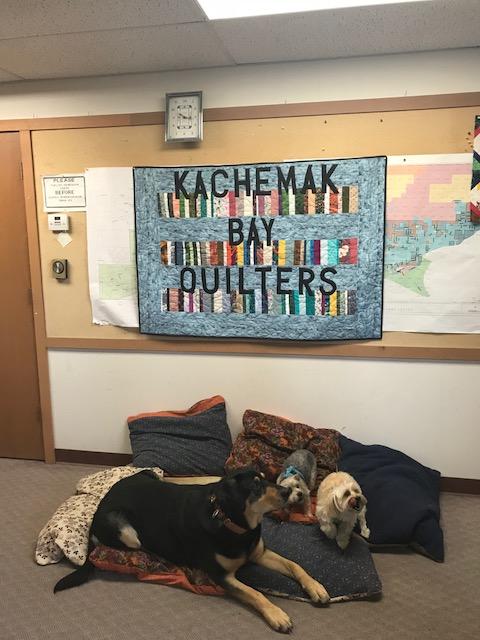 Big Mike, Kizzie, and Annie testing out the cat and dog beds for the animal shelter