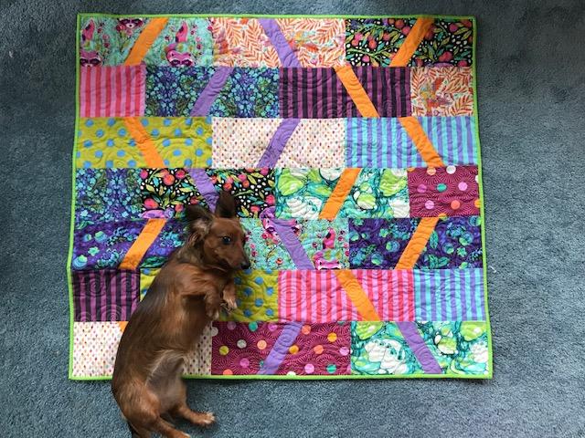 Piama Svoboda's quilt is also Gudrun Erla's quarantine-along quilt called "Elvira" which is being guarded by Izzy, her dachshund puppy.