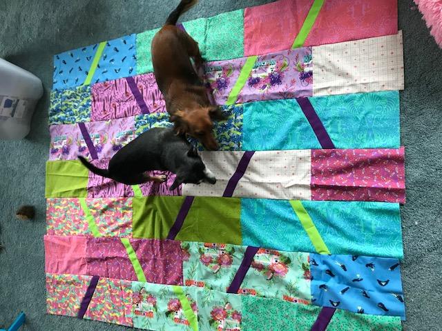 Shirley Svoboda's quilt is also Gudrun Erla's quarantine-along quilt called "Elvira" which is being played on by Izzy and Jack.